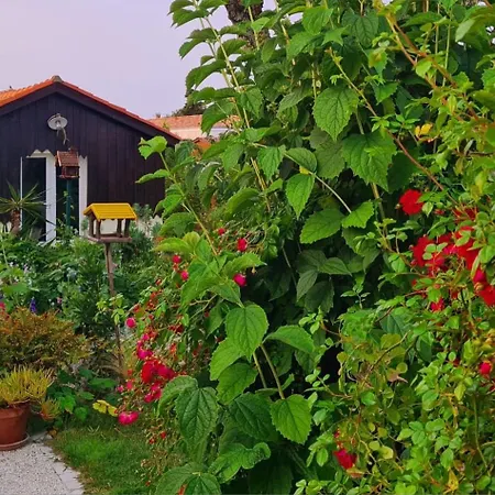 Alojamento de Acomodação e Pequeno-almoço & Jardin La Tremblade