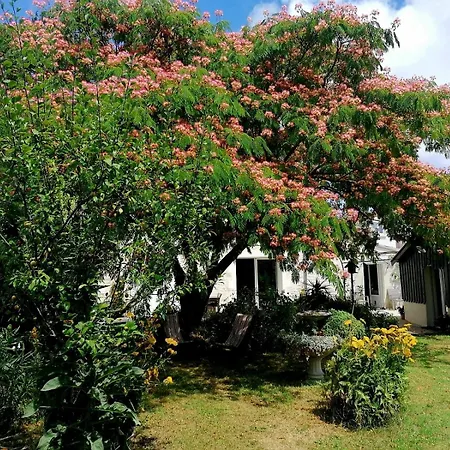 & Jardin Alojamento de Acomodação e Pequeno-almoço 3*